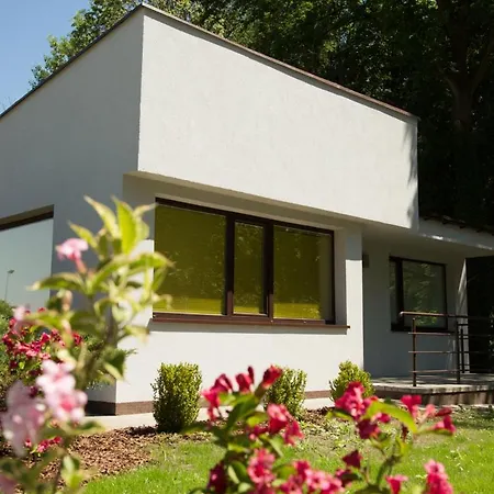 Camping Oaza Blonie Kornik Domki Standard Plus - 3 Pokoje Exterior photo