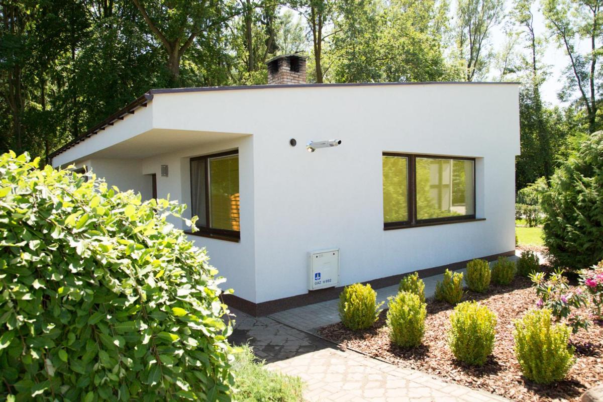 Oaza Blonie Standard - 3 Lodge *
