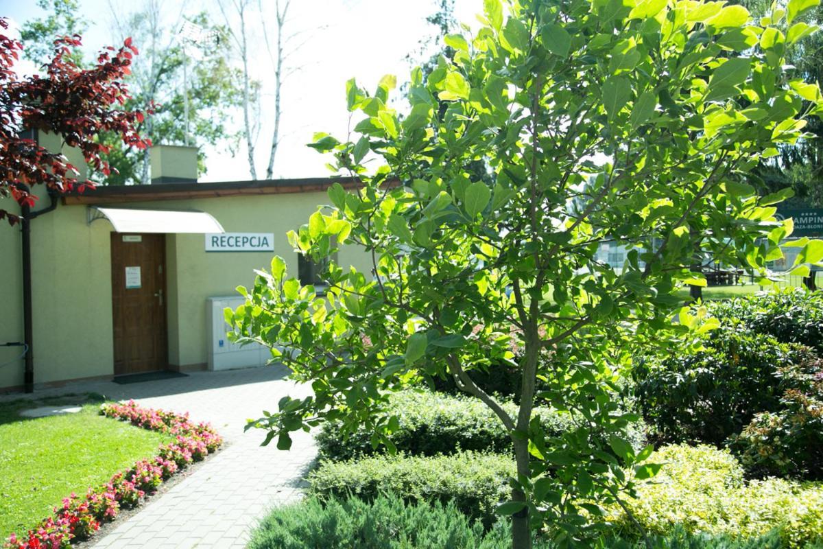 Oaza Blonie Standard - 3 Lodge Kornik